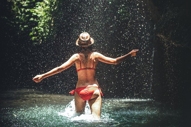 Trinidad Rainforest Hike to Waterfall - Tips for a Great Experience
