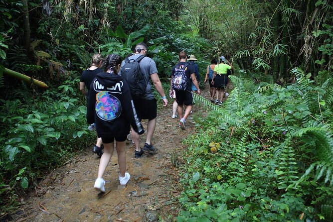 Trio Tour: El Yunque, Luquillo Beach, and Bio Bay Night Kayaking - Included Amenities