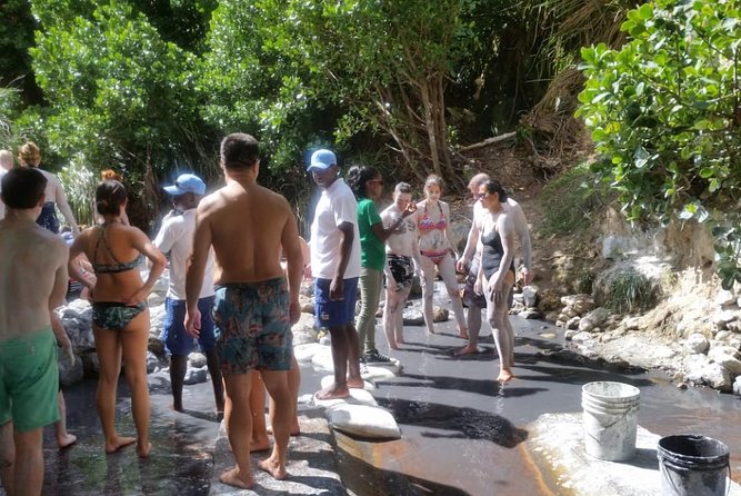 Trip to Soufiere: Volcano, Twin Pitons, Waterfall, Mud Bath & Botanical Garden - Visiting the Botanical Garden