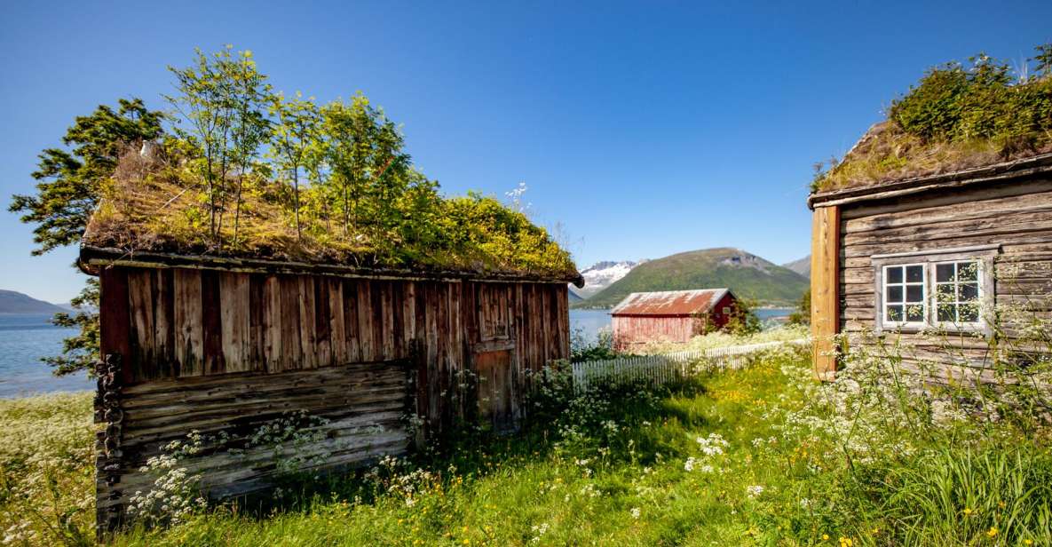 Tromsø: Arctic Landscapes Sightseeing With Citizen Science - Wildlife Spotting Opportunities