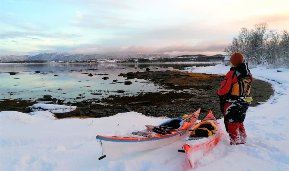 Tromsø: Easy Winter Kayaking Tour With Seal Watching - Wildlife Encounters