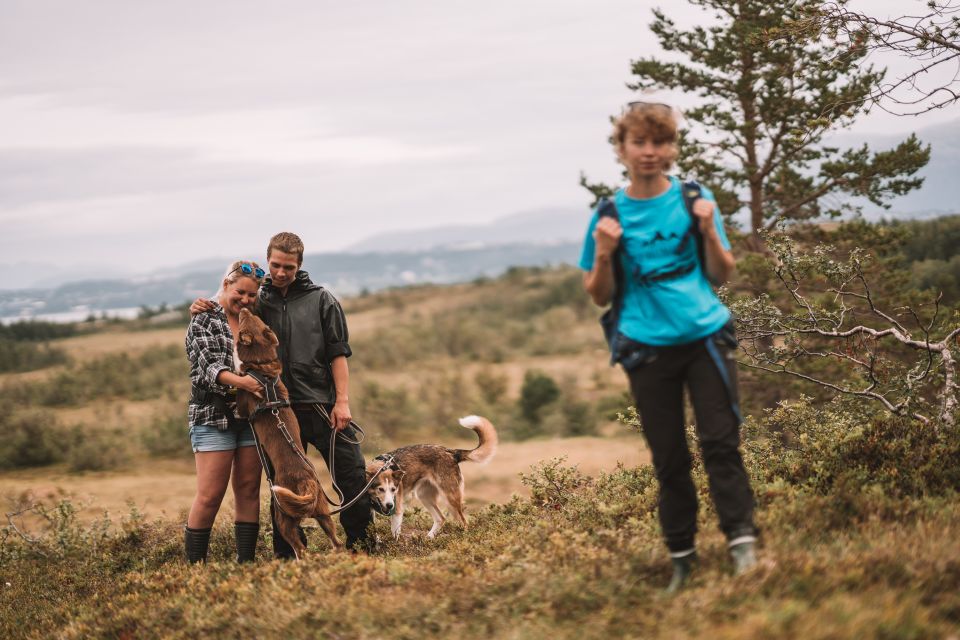 Tromsø: Husky Hike and Puppy Visit With Traditional Lunch - Transportation Information