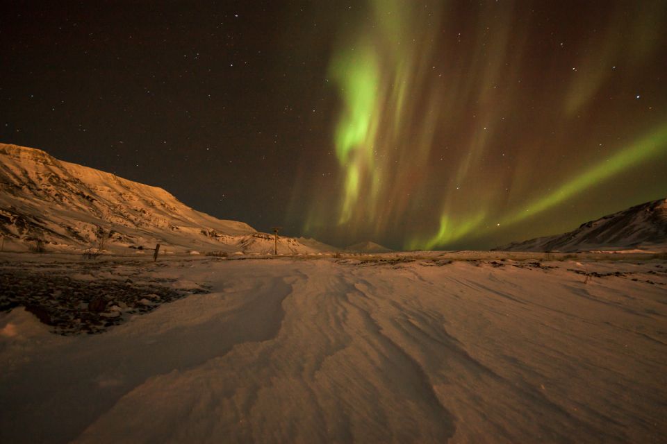 Tromsø: Northern Lights Guided Bus Tour - Customer Reviews and Ratings