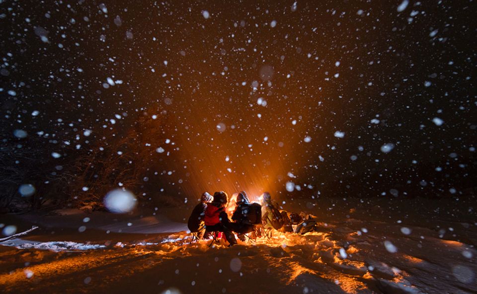 Tromsø: Small Group Aurora Hunt Tour With Citizen Science - Customer Experience