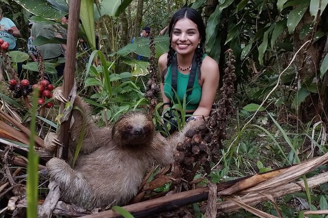 Tropical Rainforest, Hanging Bridges And Jungle Sloths Sanctuary