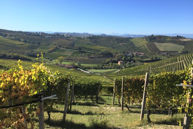 Truffle Hunt and Barolo Wine Tasting - Pricing and Booking Information