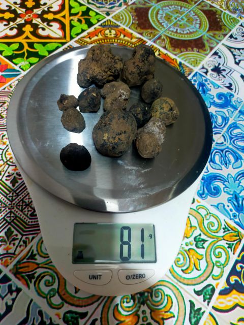 Truffle Hunting Experience With a Guide - Customer Reviews