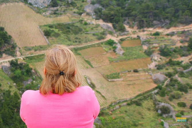 Twice the Wine - Two Wineries Half Day Tour, With Delicacies - Guest Reviews and Experiences