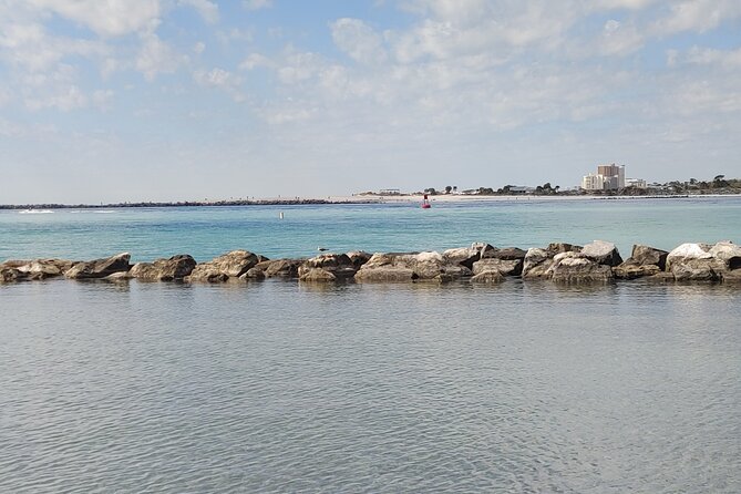 Two Hour Private Sightseeing/Dolphin Tour in Panama City Beach - Customer Experiences and Reviews