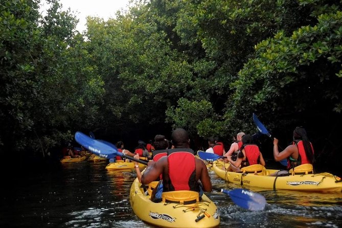 Two-In-One Day Trip: El Yunque and Bio Bay Tour With Transport - Kayaking Through Mangrove Forest