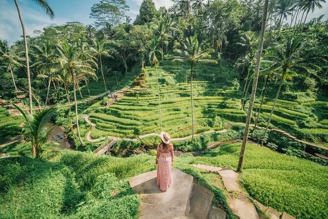 Ubud Bali Tour: Monkey Forest, Rice Terrace & Jungle Swing - Customer Feedback and Reviews