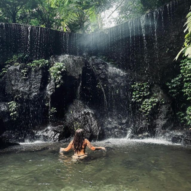 Ubud: Best Waterfalls, Rice Terrace & Temple Guided Tour - Tegallalang Rice Terrace