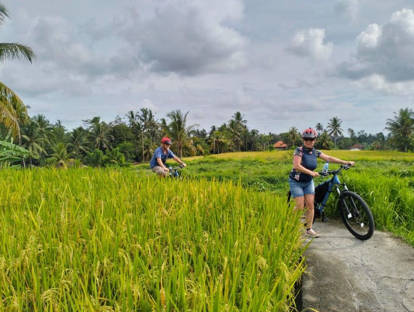 Ubud E Bike Tour : Countryside+Rice Terrace+Luwak Coffee - Important Restrictions