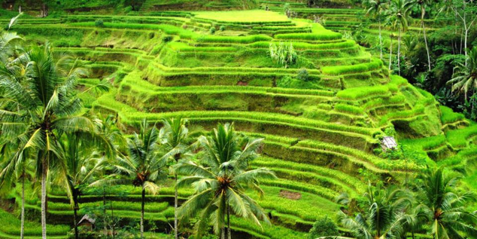 Ubud Full Day Tour With Private Car - Additional Considerations