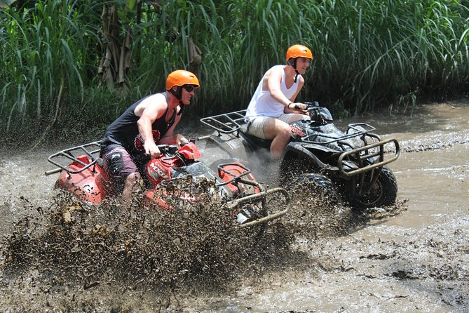 Ubud: Gorilla Face ATV Quad Bike Adventure With Lunch - Guest Reviews and Experiences