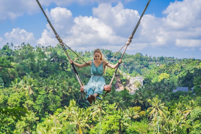Ubud Highlight Private: Tegalalang & Holy Water Temple - Booking Process