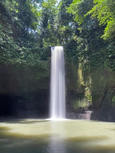 Ubud Private Tour/Rice Terrace, Tirta Empul, Waterfalls, Etc - Important Considerations