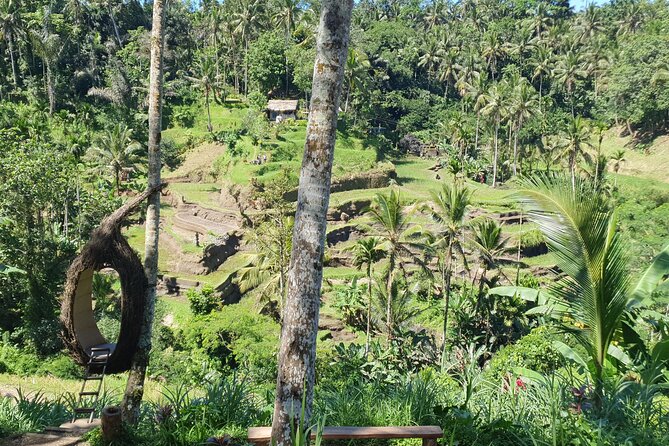 Ubud Private Tour - Tour Group Size