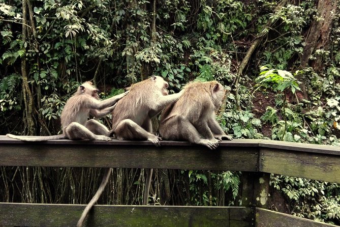 Ubud Surounding Tour - Important Tour Information