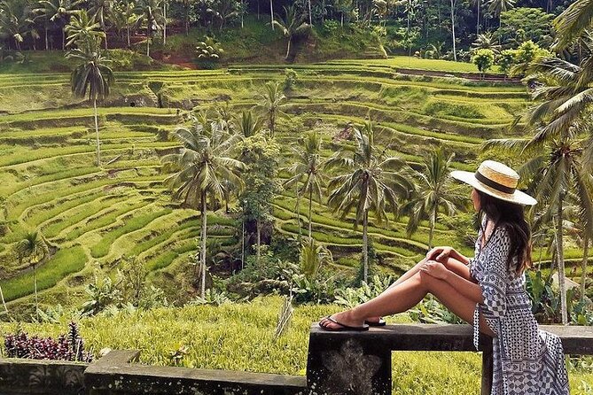 Ubud: Swing - Monkey Forest - Waterfall - Temple - Rice Terraces - Art Crafts - Private Transportation Details