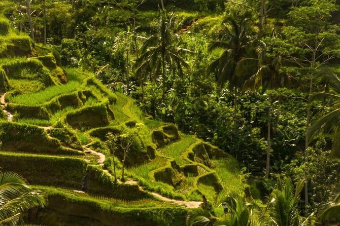 Ubud Temples, Waterfalls, Rice Terraces & Balinese Culture - Local Art Markets