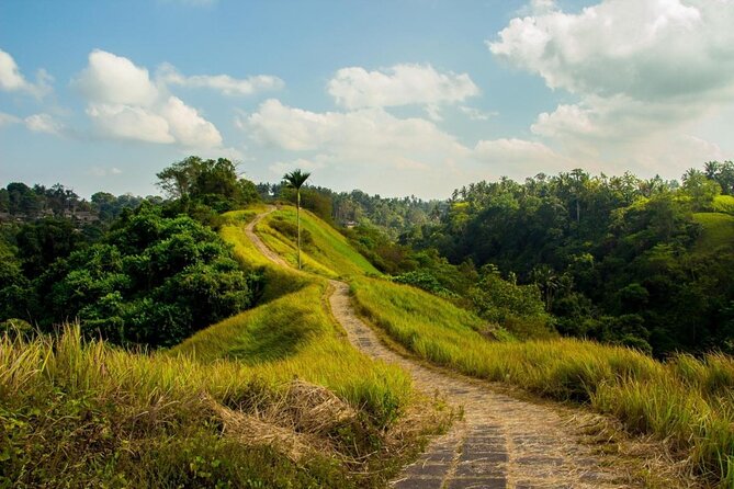 Ubud Tour : Jungle Swing - Campuhan Ridge Walk - Tegenungan Waterfall - Tour Inclusions and Benefits