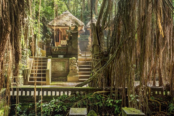 Ubud: Waterfall, Rice Terraces, and Monkey Forest Private Tour - Hotel Pickup and Drop-off