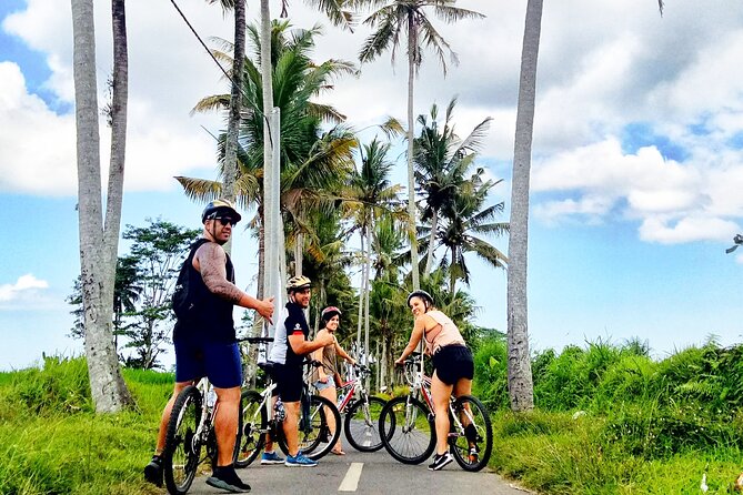 Ubud Wonderful Afternoon Downhill Cycling Tour - Cancellation Policy