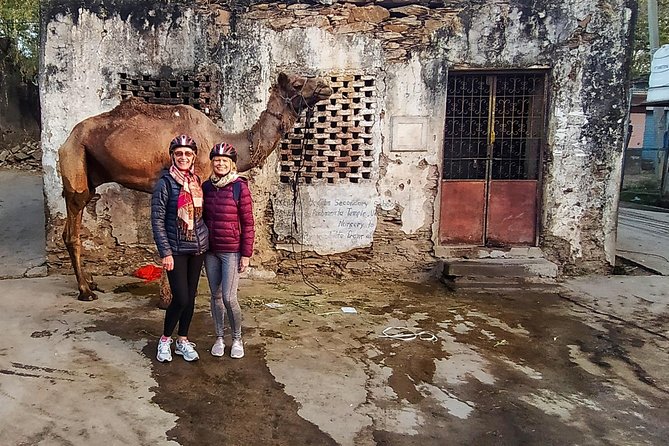 Udaipur Bicycle Tour - Customer Reviews and Ratings