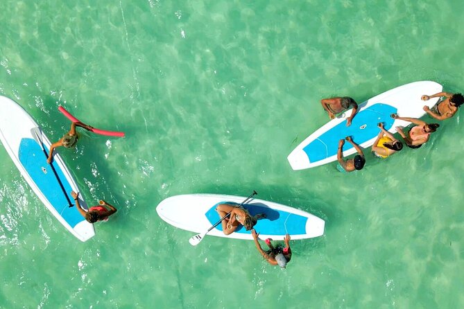 Ultimate Key West Kayak Eco-Tour: Mangrove and Sandbar Adventure - Recommended Packing List