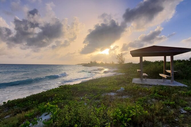 Unforgettable Land Tour on Long Island Bahamas - Booking Your Experience
