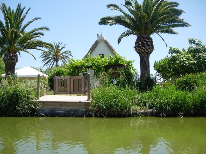 Valencia: Xativa Castle and Albufera Lagoon Private Tour - Scenic Rice Paddies