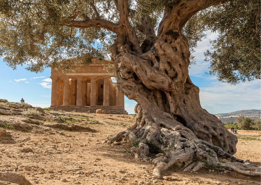 Valley of the Temples and Villa Romana Multi-Language Tour - Accessibility and Minimum Participants