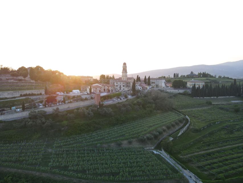 Valpolicella: Wine Tasting on a Spectacular Terrace - Booking Details