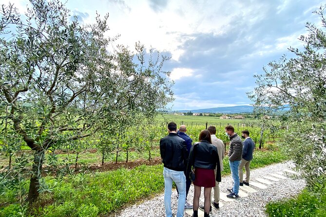 Valpolicella Wine Tour: Explore 3 Wineries, Lunch & Amarone Focus - Transportation and Logistics