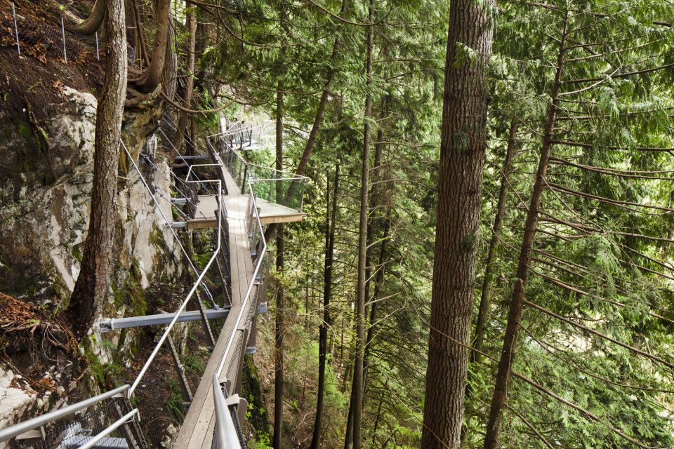 Vancouver Tour Grouse Mountain & Capilano Suspension Bridge - Exploring Grouse Mountain