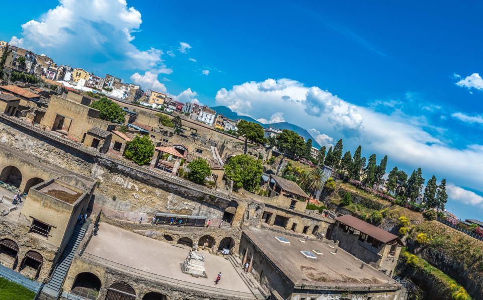 Vesuvius and Herculaneum From Naples - Customer Feedback Overview