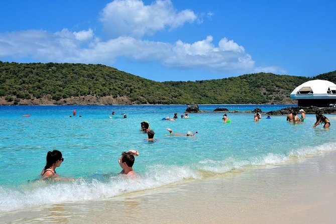 Vi Top Taxi &Tours USVI-Coki Beach Snorkeling Tour - Review Highlights