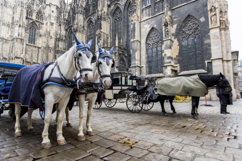 Vienna Cathedral District Audio Tour (EN) (NO Ticket) - Frequently Asked Questions