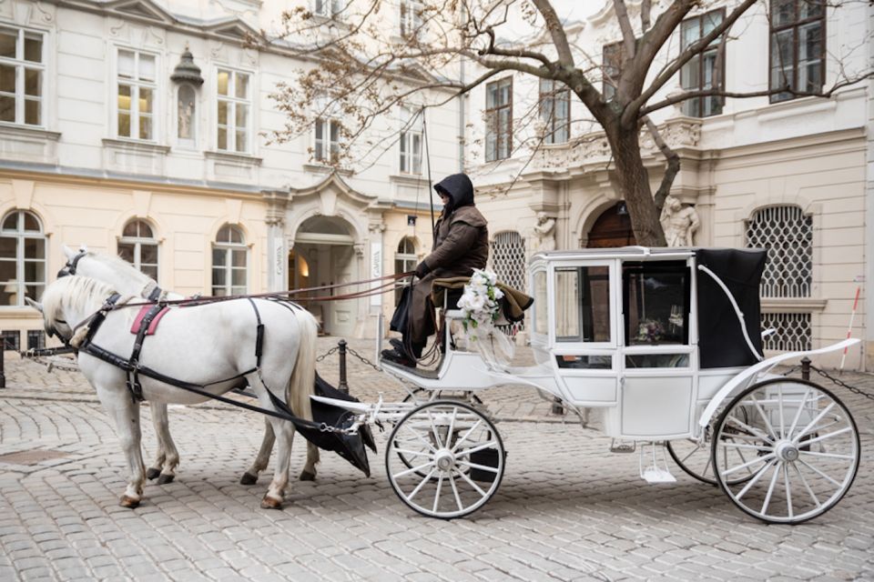 Vienna: Culinary Horse-Drawn Carriage Experience - Booking Process