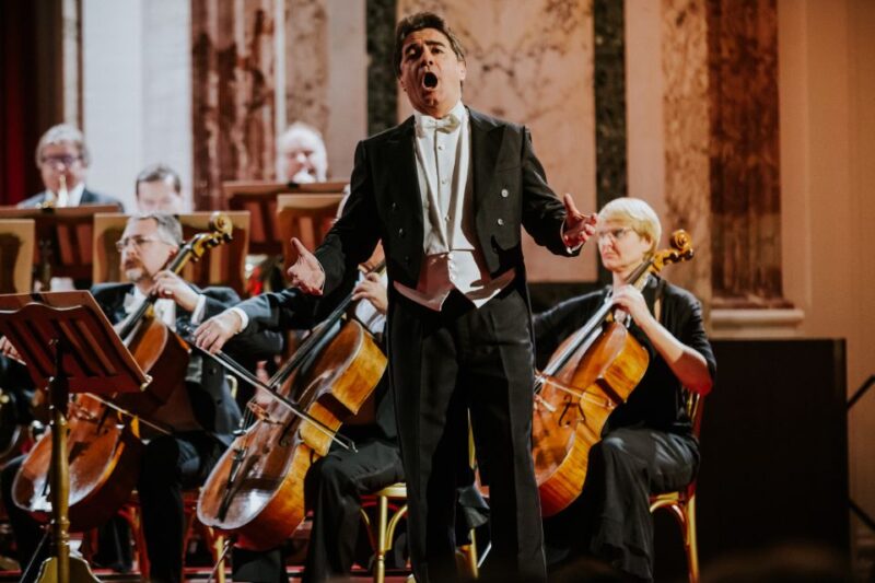 Vienna: Strauss and Mozart Concert at Hofburg Palace - Location and Accessibility