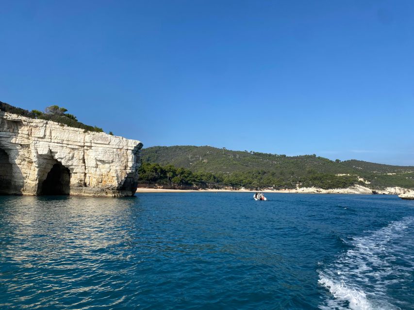 Vieste: 4-Hour Boat Rental - Refueling Requirements