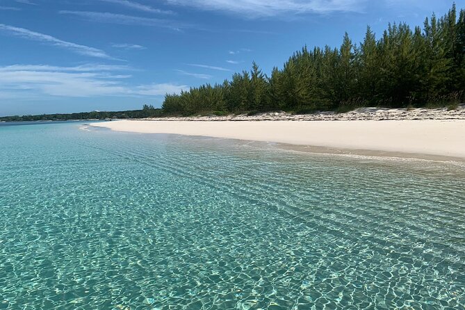 View the Turtles, Rose Island, Gilligans Island and Fishing Tour - Cancellation Policy