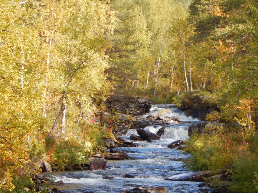 Vindelfjäll Nature Reserve: a Walk Through Reindeer Country - Essential Packing List