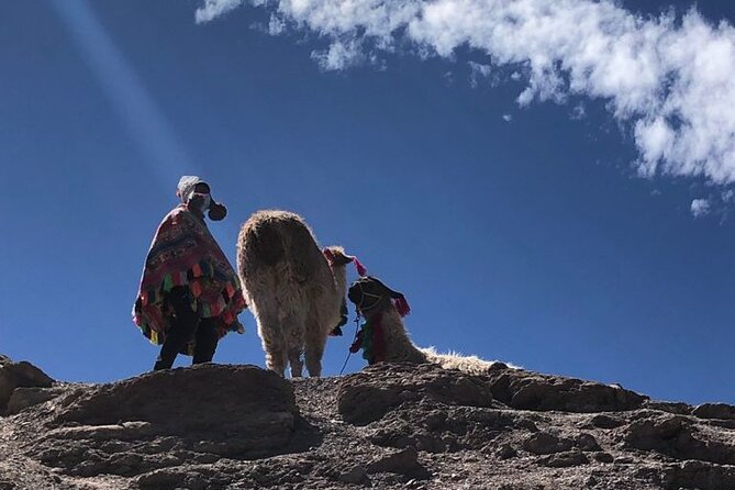 Vinicunca Rainbow Mountain Tour Including Breakfast & Lunch From Cusco - Booking and Pricing