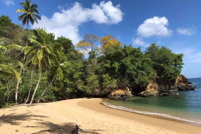VIP Inclusive Private Tour of Island (Lunch, Drinks + Snorkeling) - Tips for a Great Day