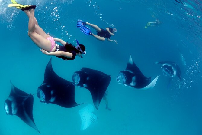 VIP Private Boat to Nusa Penida: Snorkeling With Mantas + Land Tour Adventure - Included Services