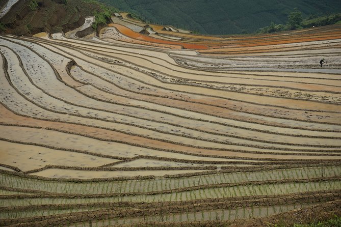 Visit All Place in Sapa in 1 Day With Easy Riders - Customer Testimonials and Ratings