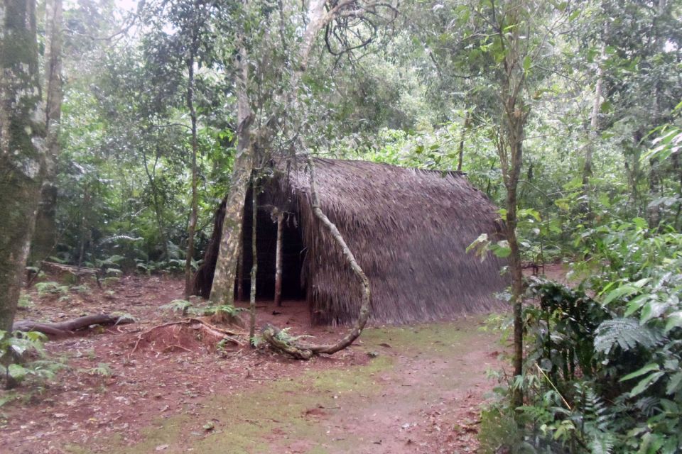 Visit Guarani Village at Mborore Fort With Brunch - Guided Jungle Walk