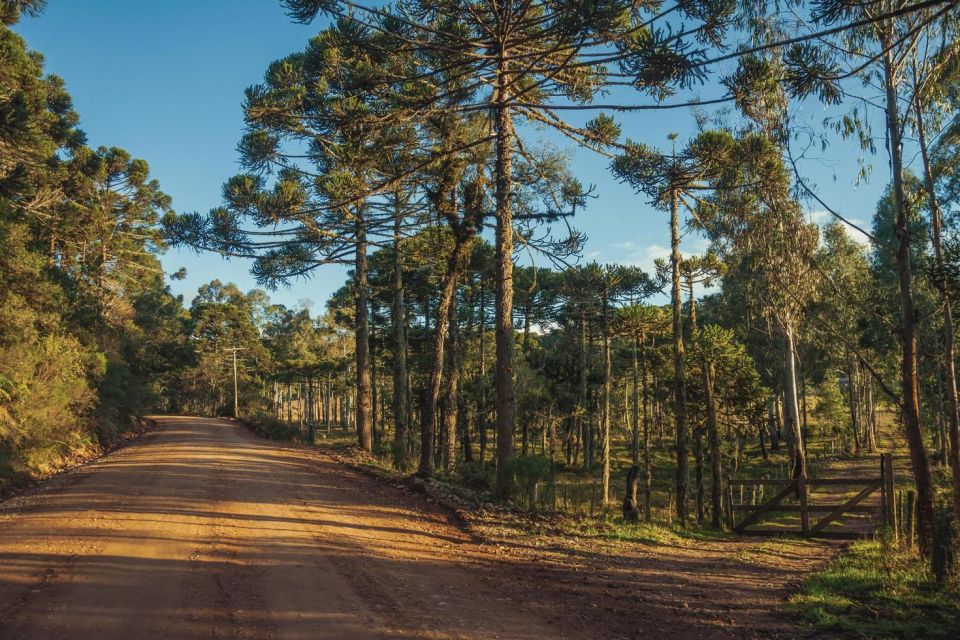 Visit the Canyons in the South of Brazil on a 2-Day Tour - Frequently Asked Questions